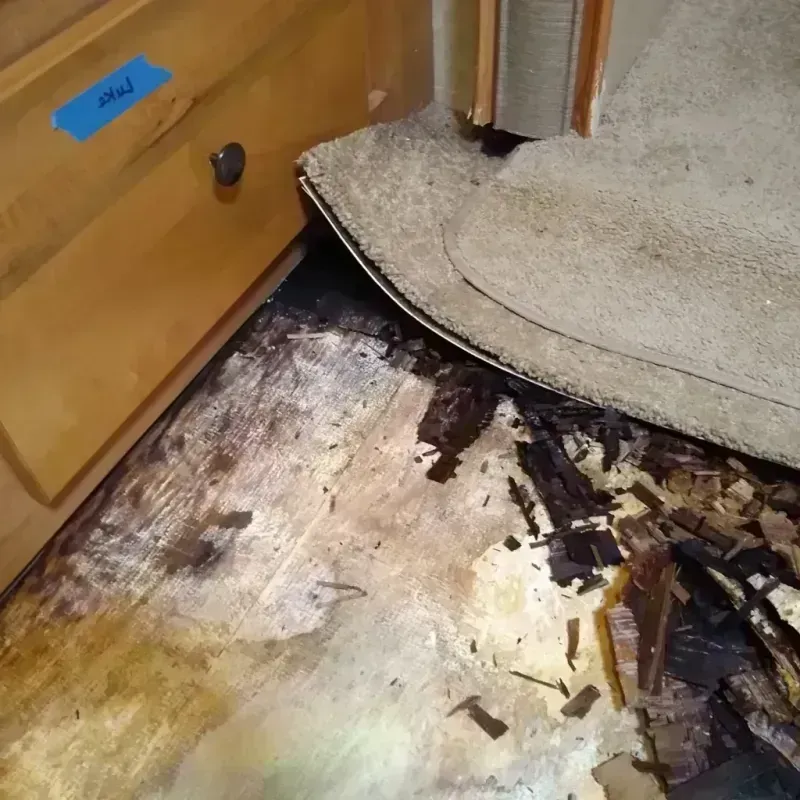 Wood Floor Water Damage in Perth Amboy, NJ